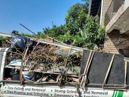 Best Yard Waste Removal  in Palisade, CO